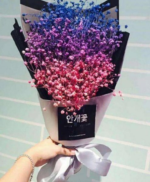 满天星的寓意和象征意义是什