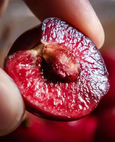 车厘子如何保存时间长久