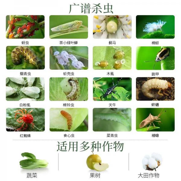 高效氯氰菊酯杀什么虫效果好