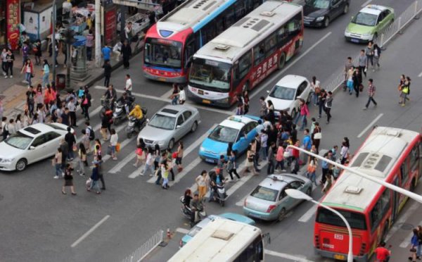 礼让行人怎么界定图解