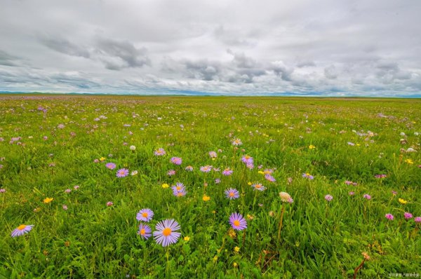 黄龙海拔高度是多少米高