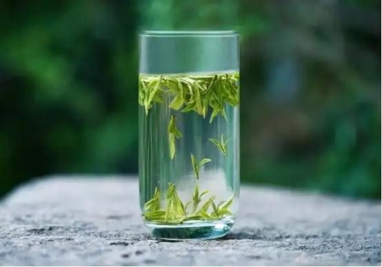 红茶和绿茶的区别功效作用