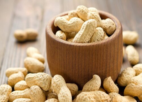 东北花生什么时候收获