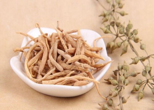 2023年发展哪种中药材前景好