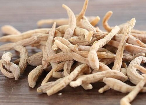 2023年发展哪种中药材前景好