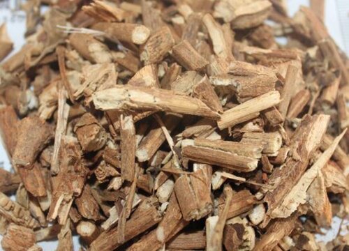 2023年发展哪种中药材前景好