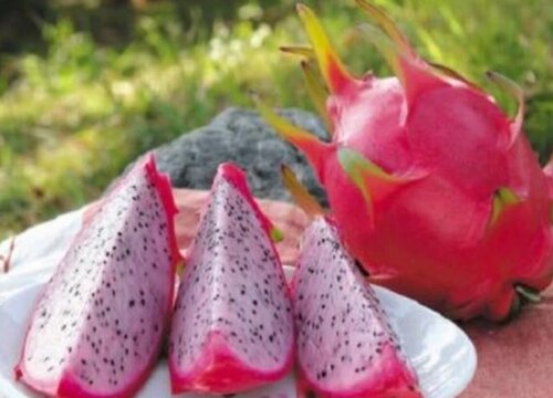 火龙果怎么剥皮简单
