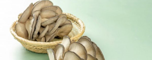 家庭蘑菇种植方法