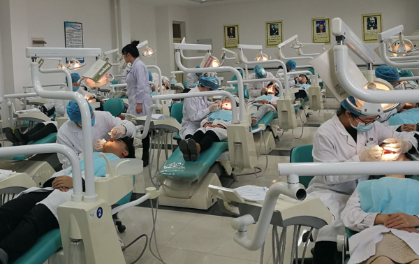 理工科女孩子学什么专业好