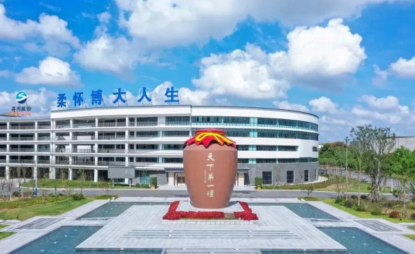 洋河系列档次排名