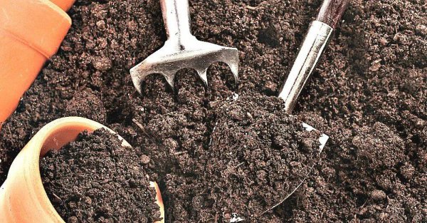 8种给土壤消毒方法