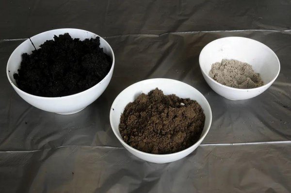 8种给土壤消毒方法