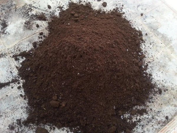 8种给土壤消毒方法