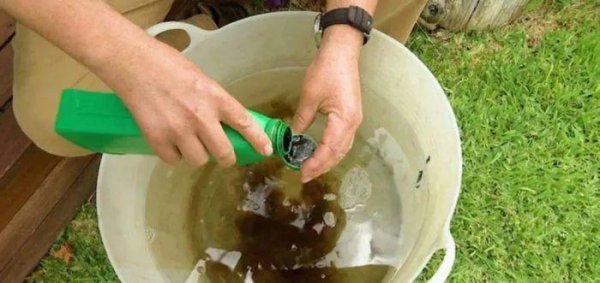 8种给土壤消毒方法