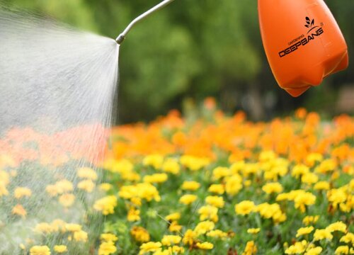 太阳晒过的水浇花好不好