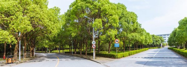 四川大学锦城学院改名了吗