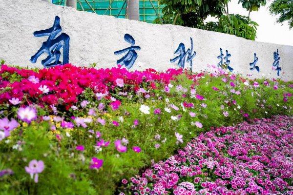 双非大学指的是什么意思