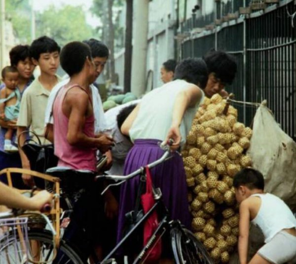 岳阳市是哪个省的城市
