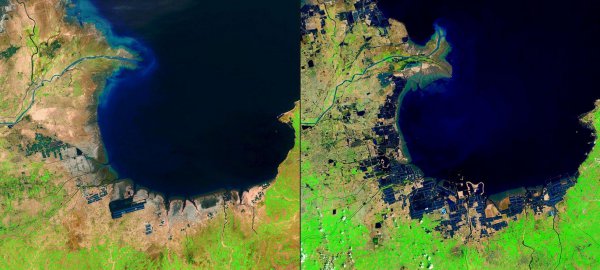 黄河流入哪个海域