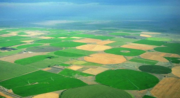 黄河流入哪个海域