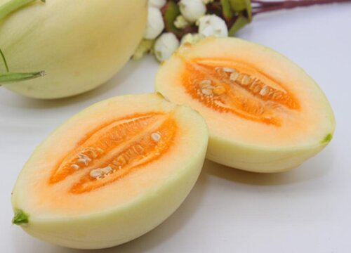 内蒙古水果特产有哪些