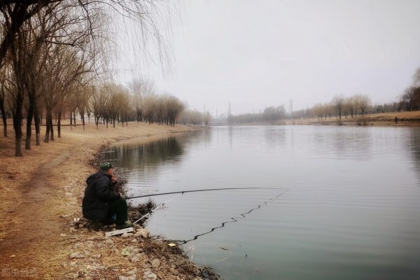 红虫保存最简单的方法