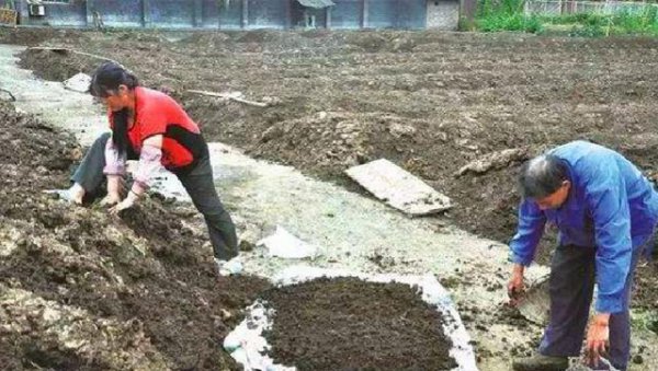 粪肥效多长时间