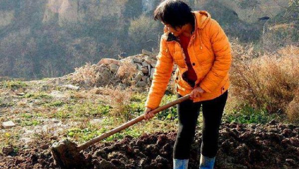 粪肥效多长时间