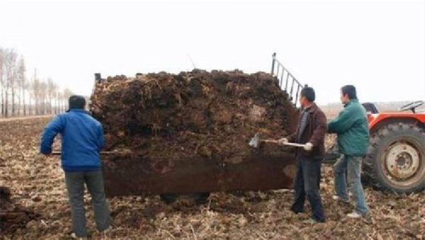 粪肥效多长时间