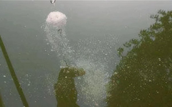 夜钓鲢鳙钓远还是钓近好