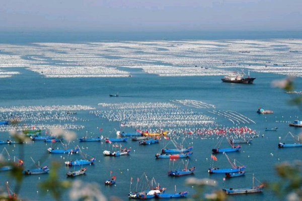 舟山人口数量多少