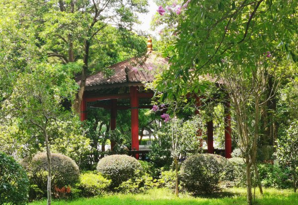 中国森林覆盖率最高的省份