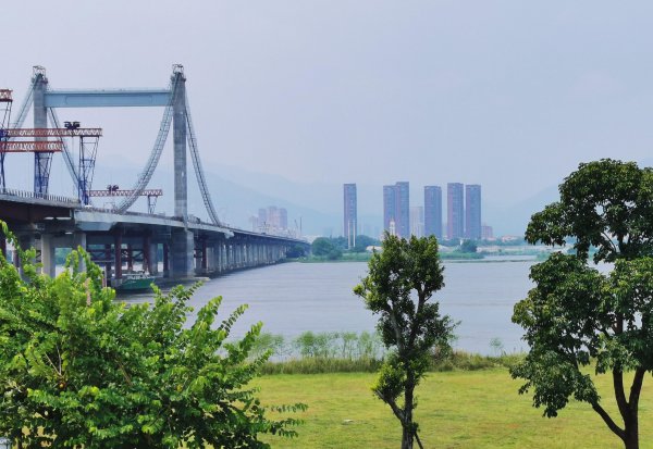 中国森林覆盖率最高的省份