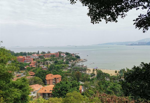 中国森林覆盖率最高的省份