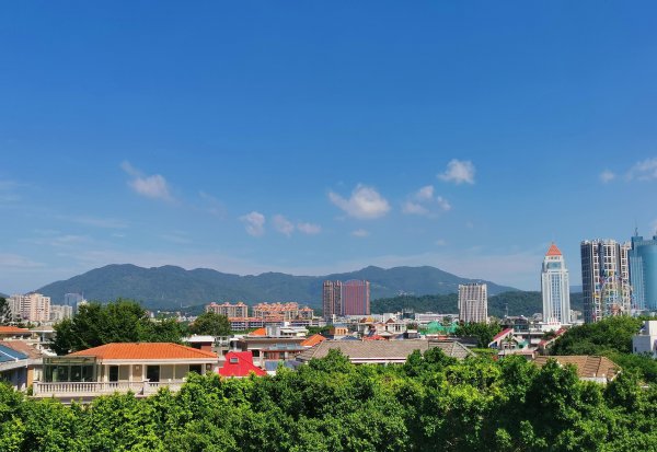 中国森林覆盖率最高的省份