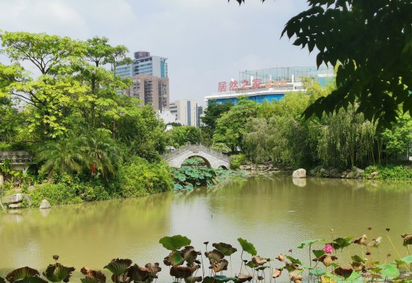 中国森林覆盖率最高的省份