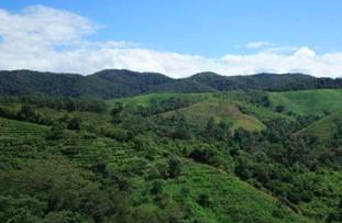 古六大茶山有哪些名字