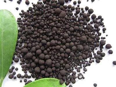 一般施肥多少天能吸收