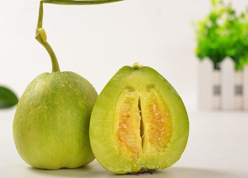 甜瓜是热带水果吗