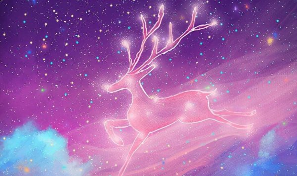 摩羯属于什么象星座的人