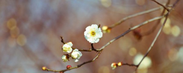 怎样躲春应注意什么