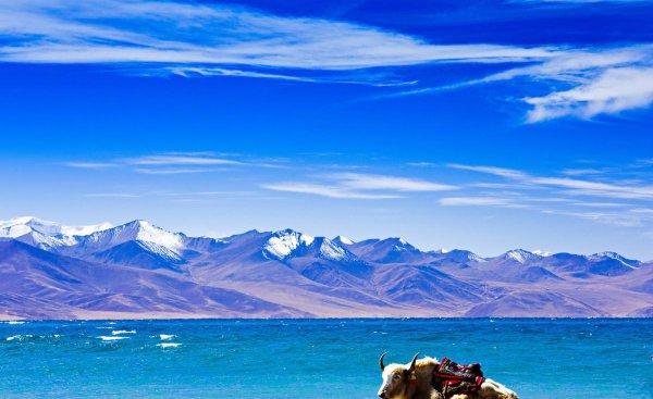 中国著名的十大湖泊景区