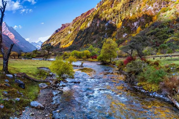 四姑娘山在四川的哪个地方