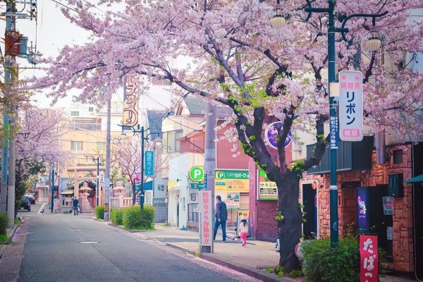 日本男女比例为多少