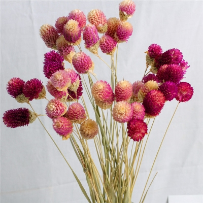 收到的鲜花怎么保存的久一点