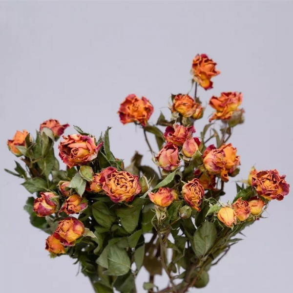 收到的鲜花怎么保存的久一点