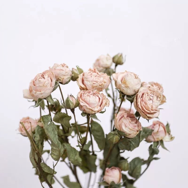 收到的鲜花怎么保存的久一点