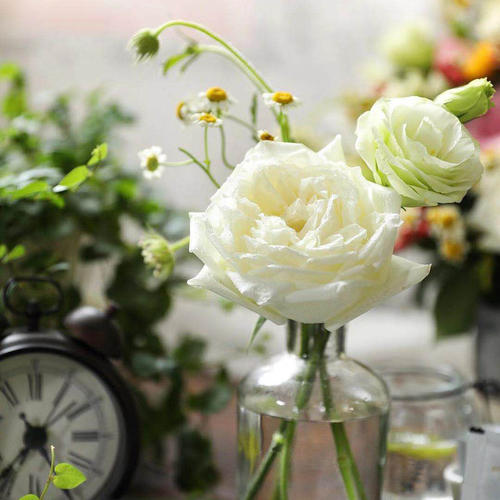 收到的鲜花怎么保存的久一点