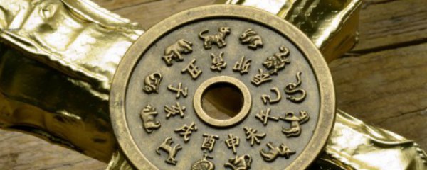 生肖鸡适合养什么植物