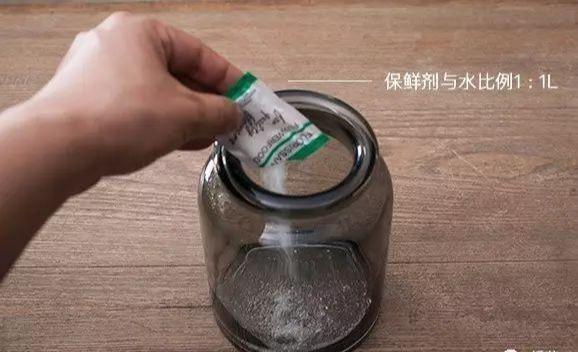 怎么让玫瑰花保持长久一点